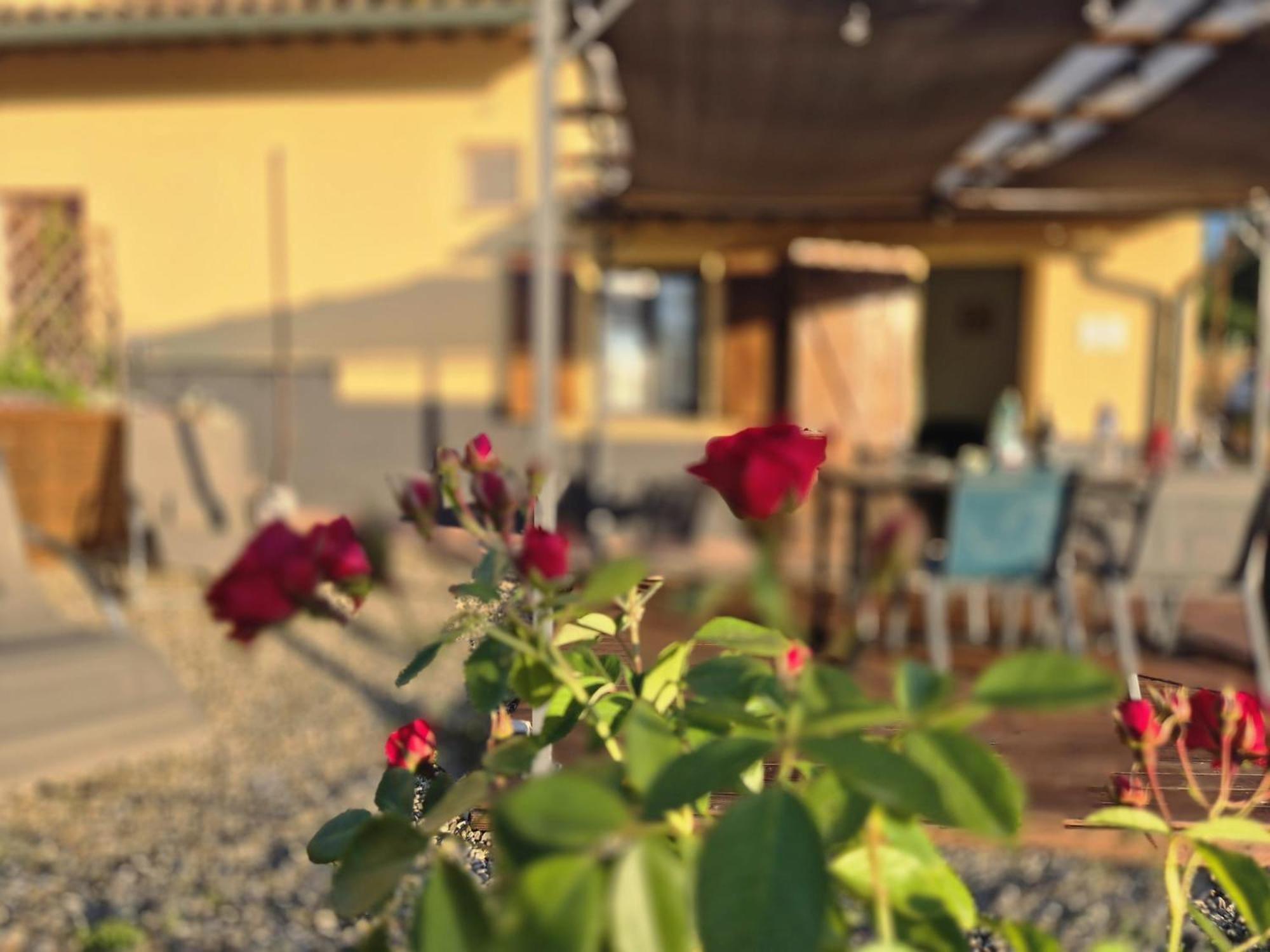Vakantiehuis Casa Orneto *